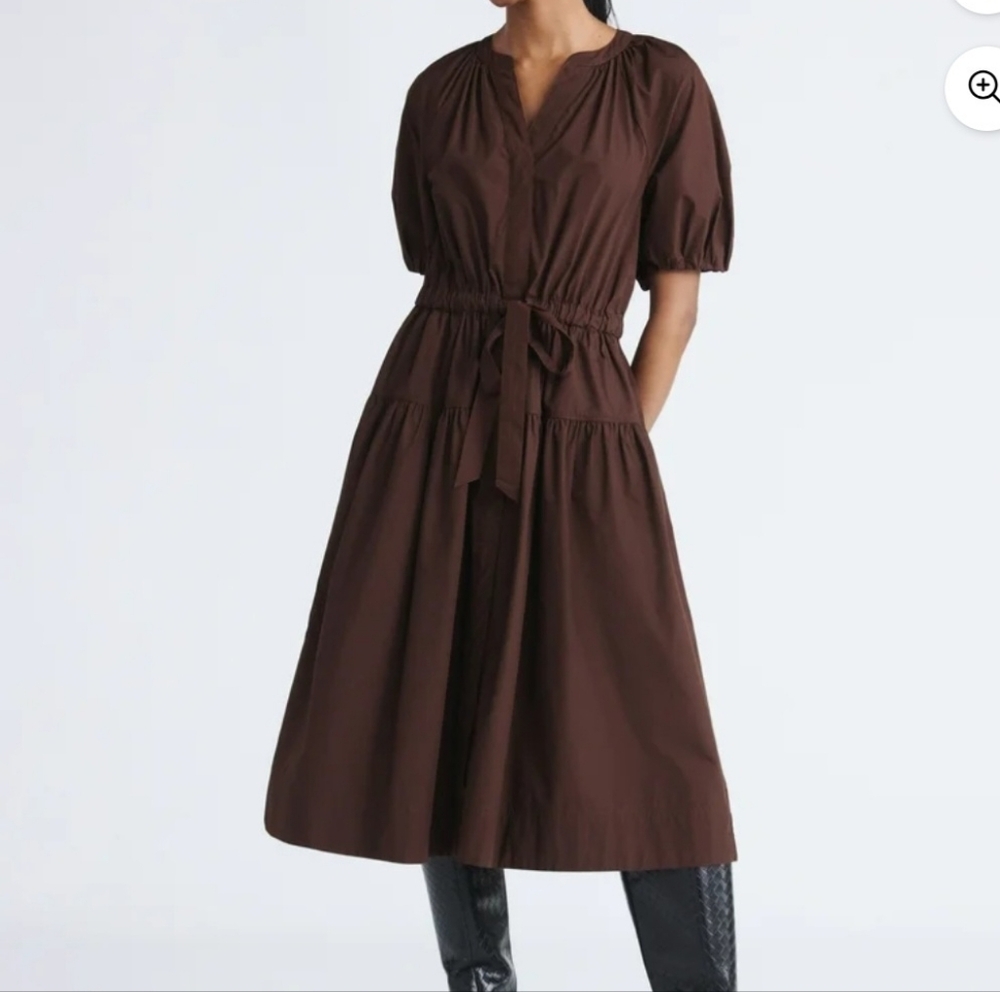 Brown Puff Sleeve Dress